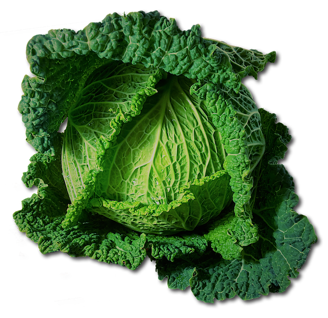 Cabbage-2