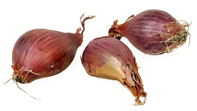 Shallot